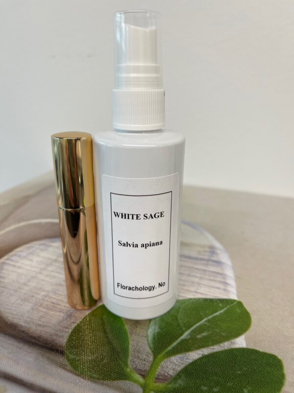 Aura- & Romspray Salvie Rensespray